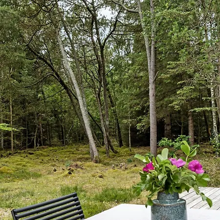 Authentic Idyll Near And Forest *